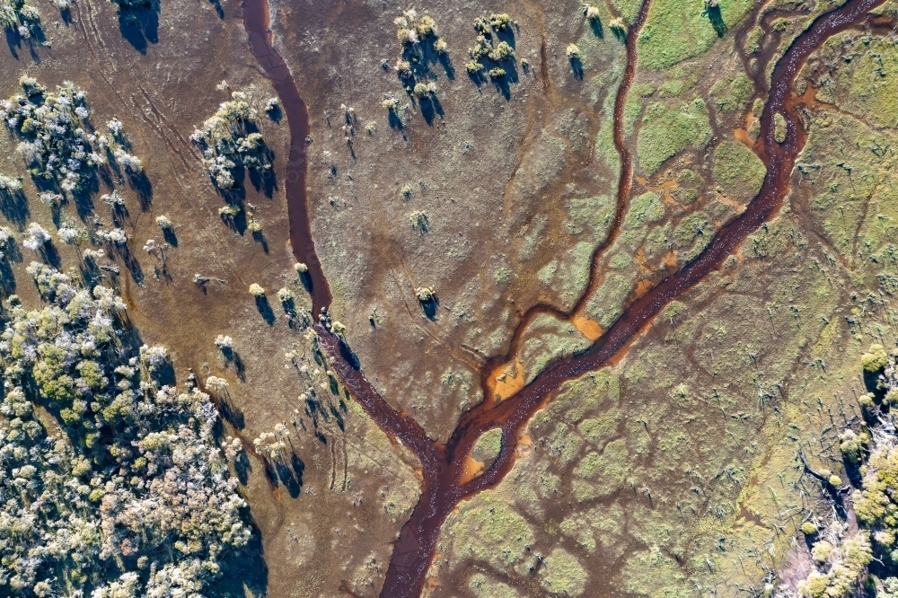stream through swampy marsh land from above - Australian Stock Image