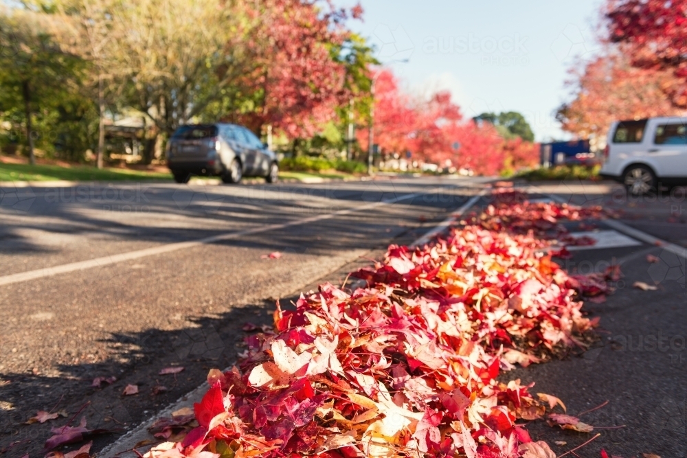 streep sweeper clearing autumn leaves on the side of a road - Australian Stock Image