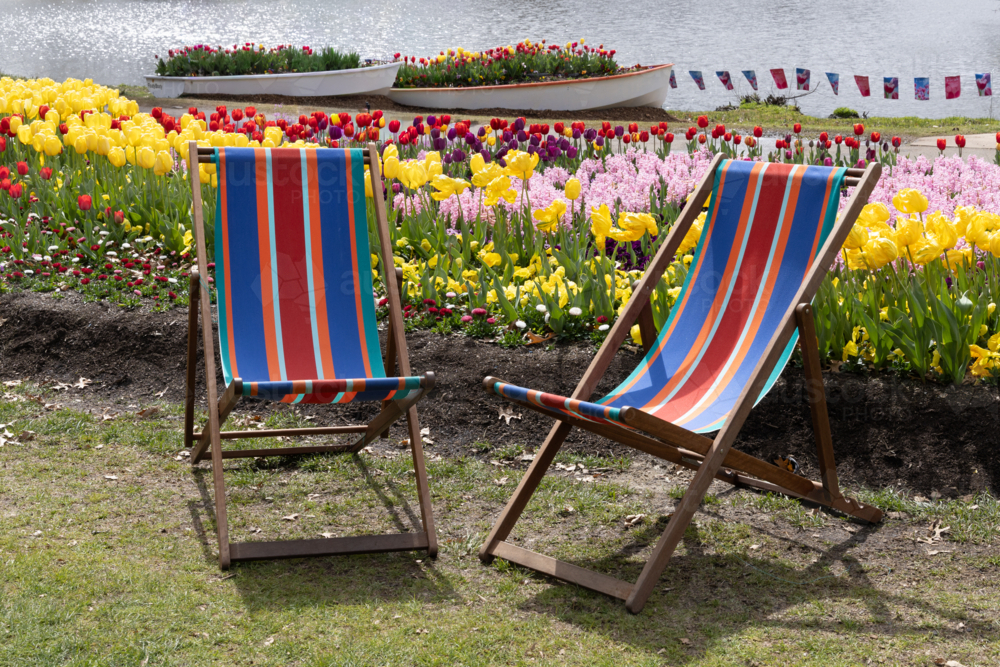 Striped brightly coloured outdoor deck chairs and tulip garden - Australian Stock Image