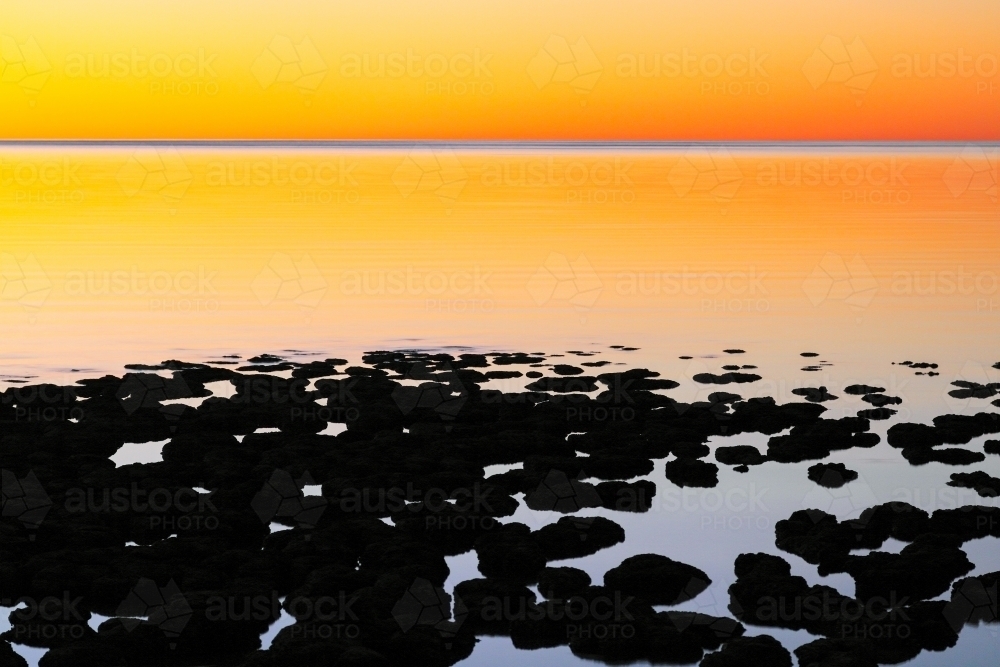 Stromatolites and smooth water of Hamelin Pool, Shark Bay. - Australian Stock Image