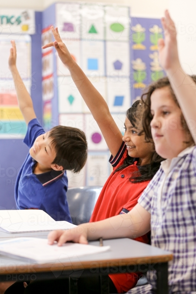Students with their hands up in the classroom - Australian Stock Image