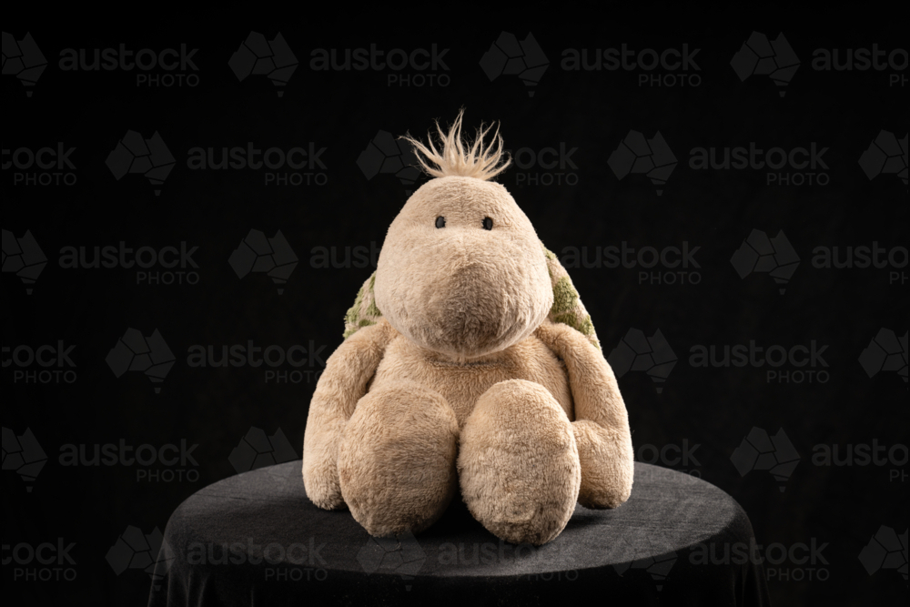 Stuffed turtle sitting upright on a black surface with black background - Australian Stock Image