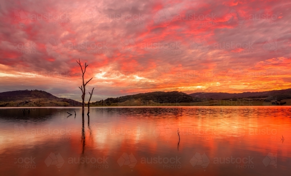 Stunning vibrant rich red sunset and reflections in the lake with some dead trees - Australian Stock Image