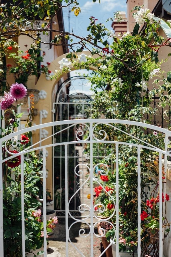 Suburban Flower Garden - Australian Stock Image