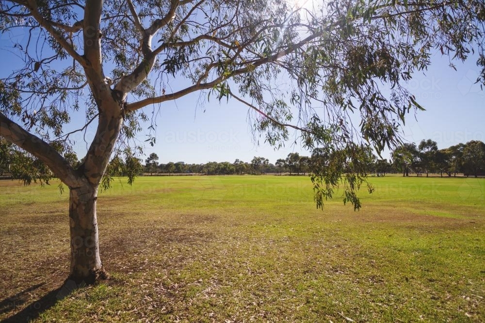 Suburban parkland in Melbourne urban area of Elwood - Australian Stock Image