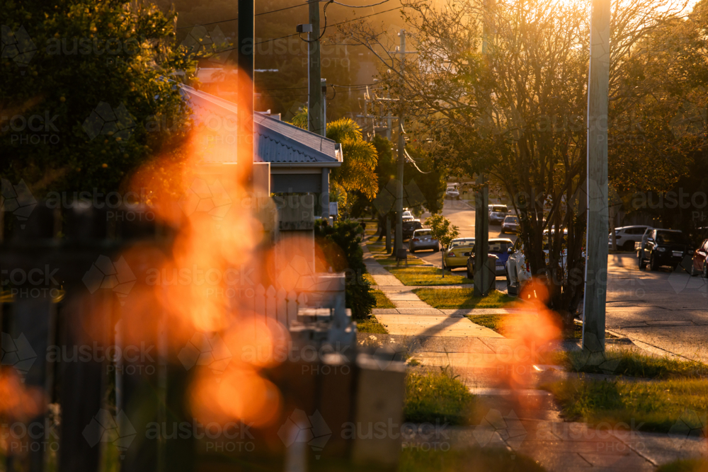 Suburban street bathed in warm, late-afternoon sunlight - Australian Stock Image