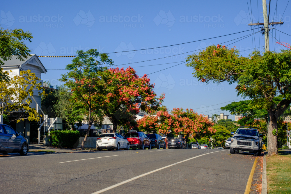 Suburban Street in Brisbane suburb - Australian Stock Image