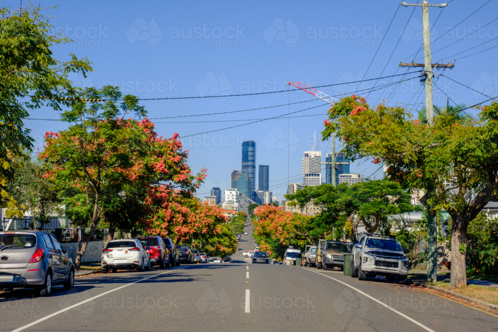 Suburban Street with Brisbane CBD in the Background - Australian Stock Image