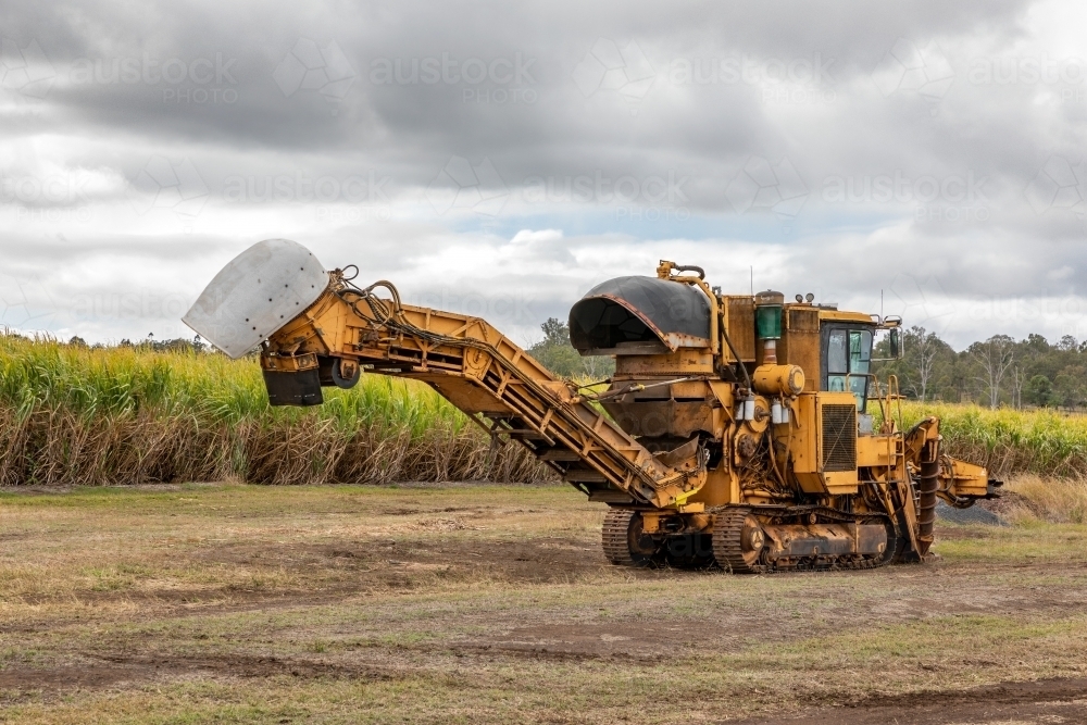 Sugar Cane Harvester alongside plantation - Australian Stock Image