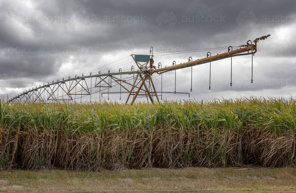 Sugar Cane Irrigation - Australian Stock Image