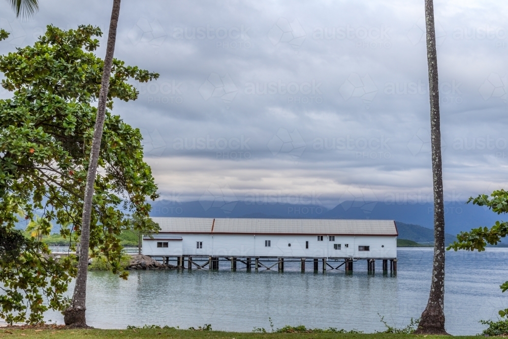 Sugar loading wharf between palm trees on coastal water - Australian Stock Image