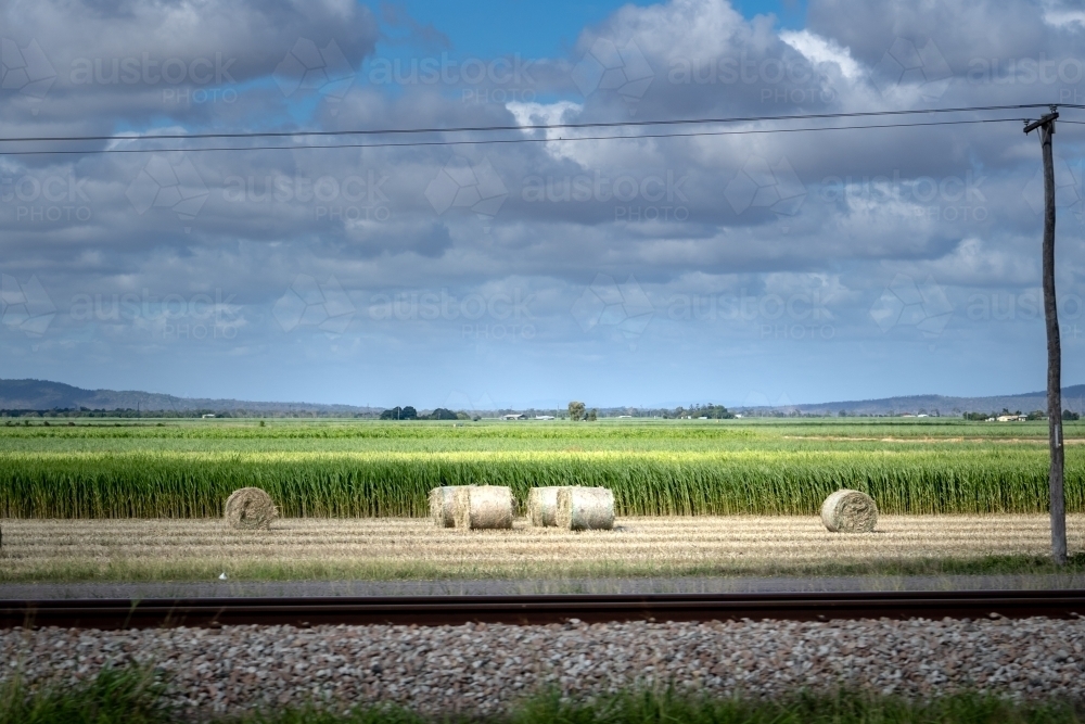 Sugarcane Fields outside of Mackay - Australian Stock Image