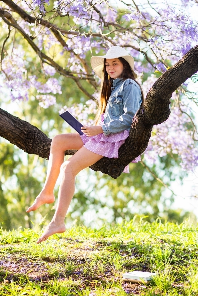 Summer concept - portrait of a teen girl sitting in a tree reading a novel - Australian Stock Image