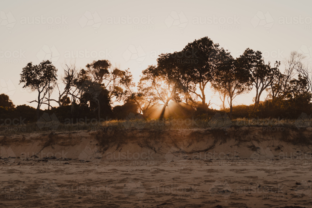Sun beams passing through the trees above sand dunes creating silhouettes - Australian Stock Image