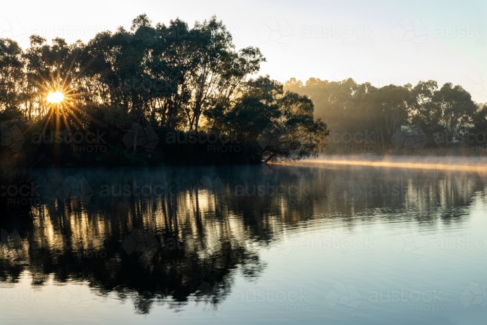 sun burst through gum trees in wetlands - Australian Stock Image