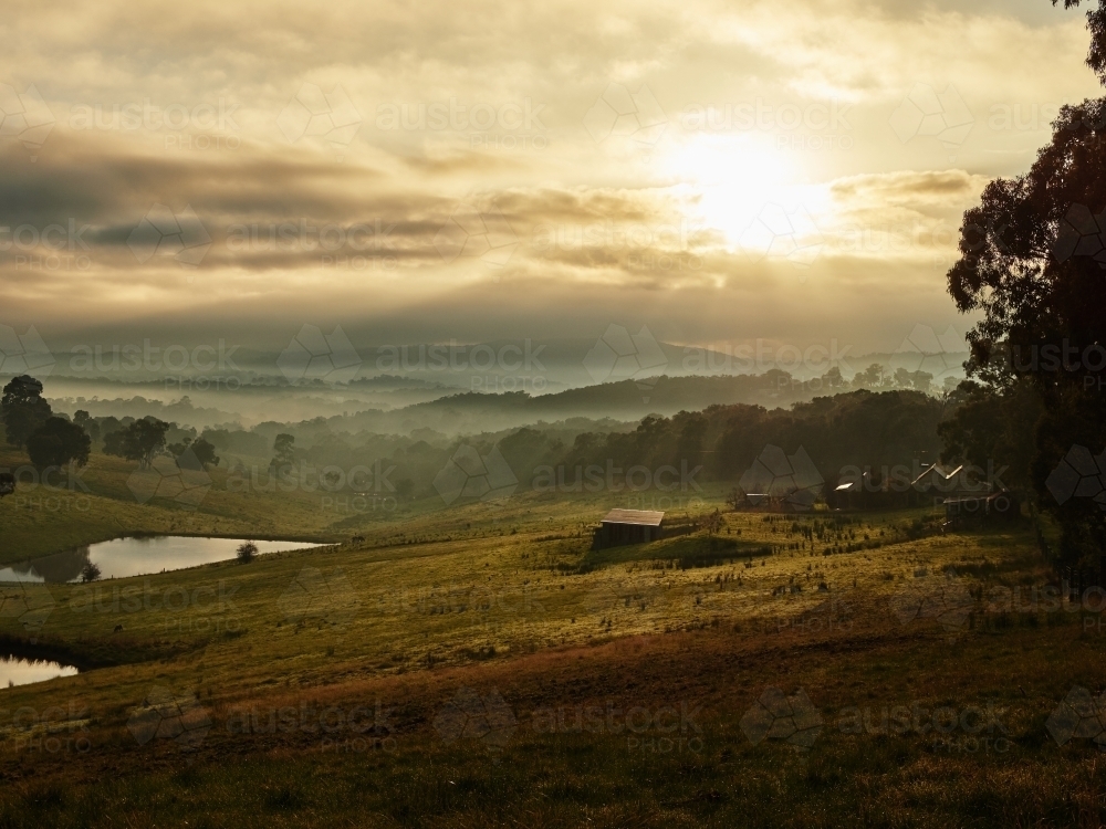 Sun Bursts Through Morning Cloud in Kangaroo Ground - Australian Stock Image
