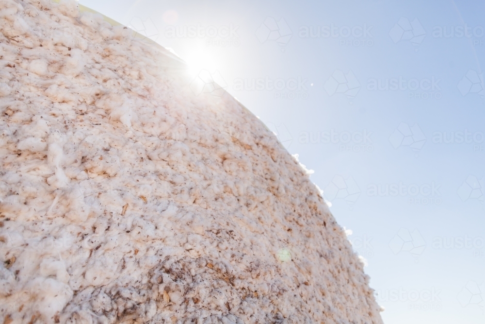 Sun flare over cotton bale on farm with copy space - Australian Stock Image