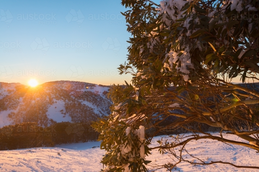 sun rise over the mountains, Mt Hotham, Australia - Australian Stock Image