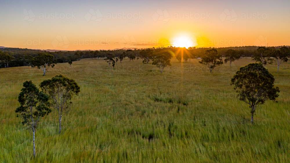 Sun rising over grassy field of the farmland - Australian Stock Image