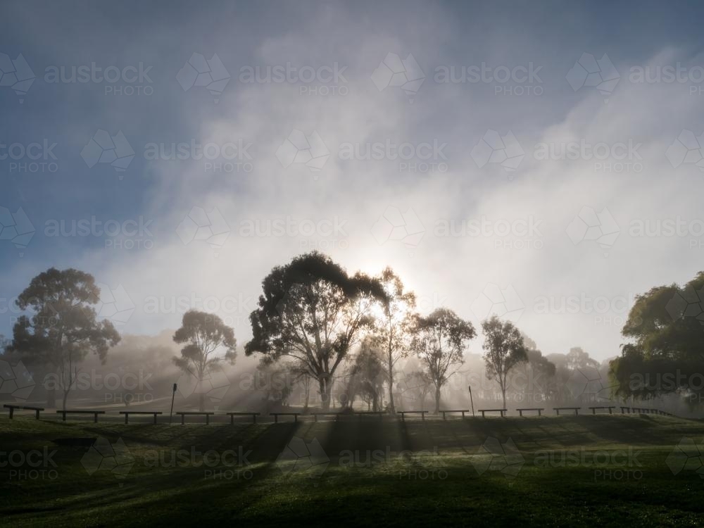 Sun rising through the mist and gum trees with large blue sky - Australian Stock Image