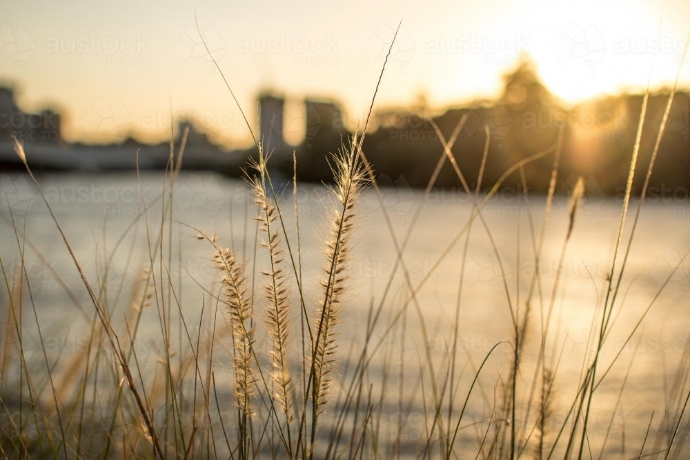 Sun setting across the Brisbane river - Australian Stock Image