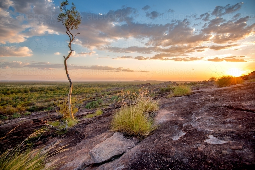 Golden Sun setting over a rocky escarpment with a lone tree - Australian Stock Image