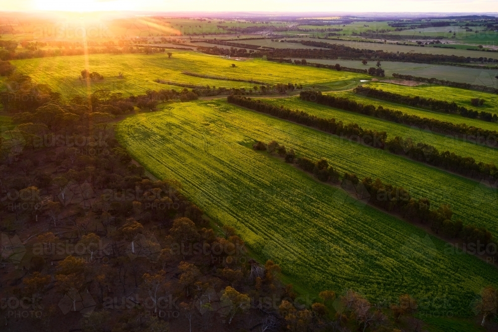 Sun setting on cropped fields and trees on a farm - Australian Stock Image