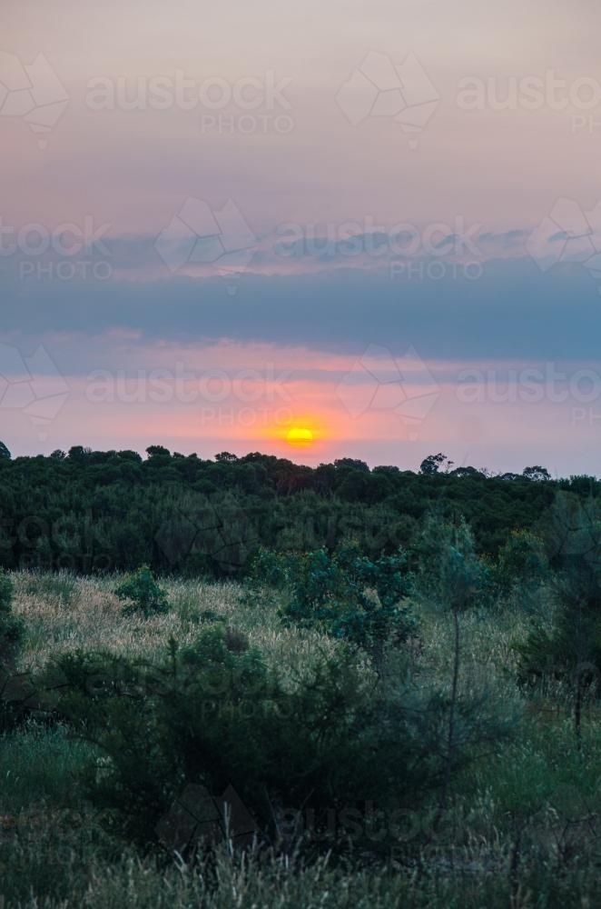 Sun setting over bushland - Australian Stock Image