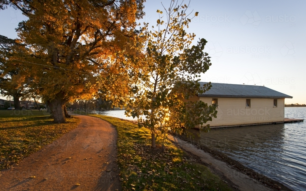 Sun setting through autumn leaves at lake - Australian Stock Image