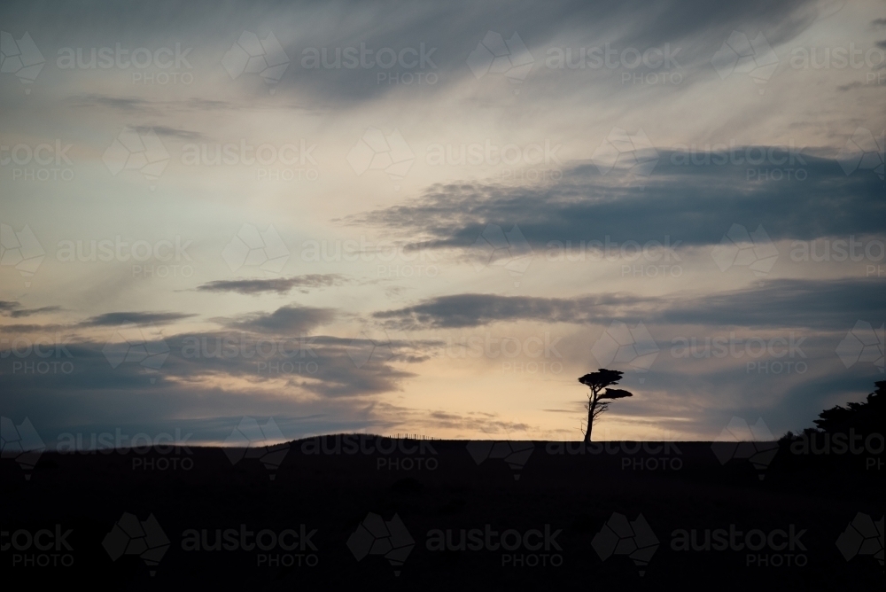 Sun setting with a lone tree silhouette - Australian Stock Image