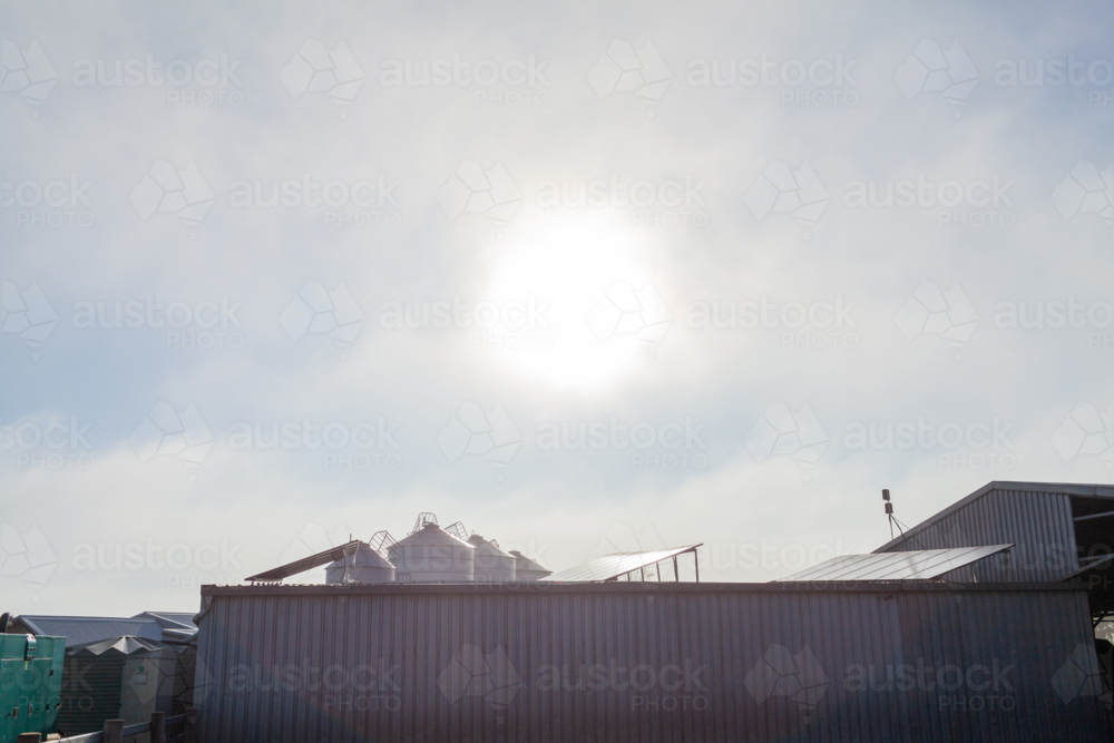 Sun through fog above dairy farm buildings with solar panels on roof - Australian Stock Image