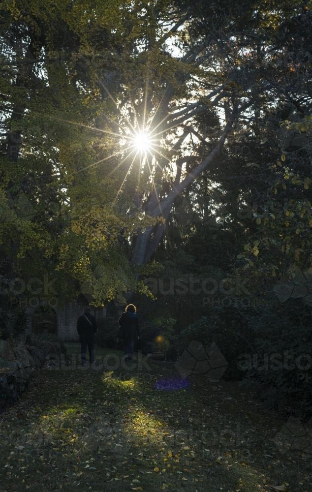 Sun through trees in overgrown garden where two people walk - Australian Stock Image