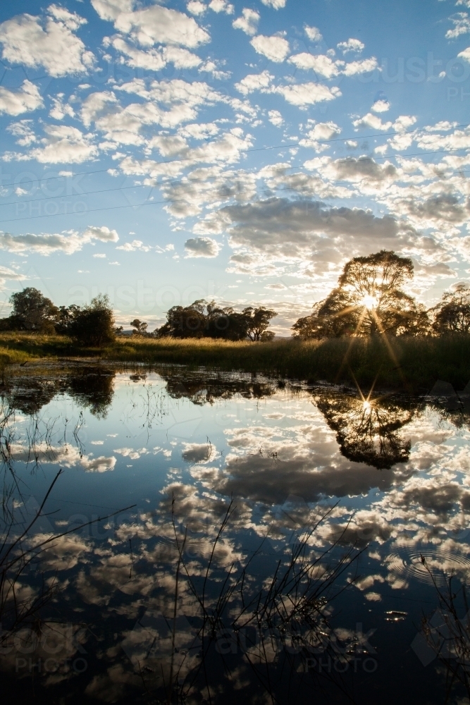 Sunbeams shining through tree with morning clouds reflected in dam - Australian Stock Image