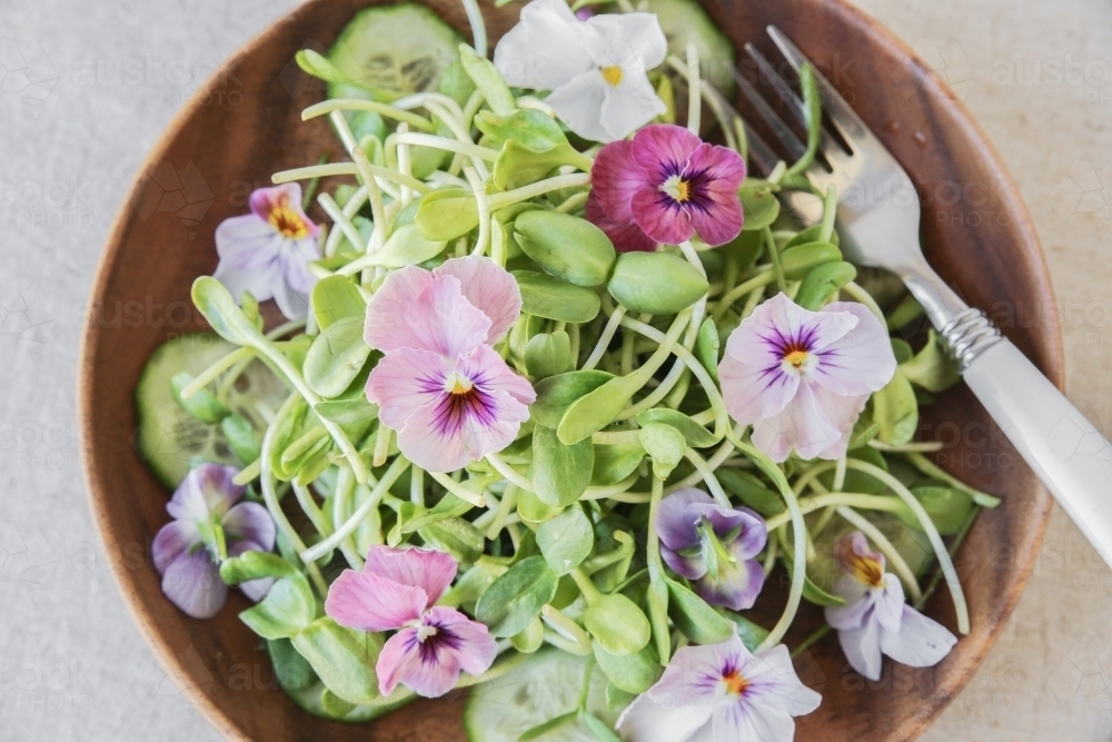 Sunflower sprouts, cucumber and edible flowers salad on wooden bowl - Australian Stock Image