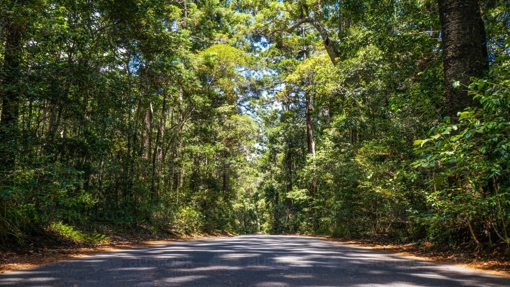 Sunlight and shadows on a long bush road - Australian Stock Image