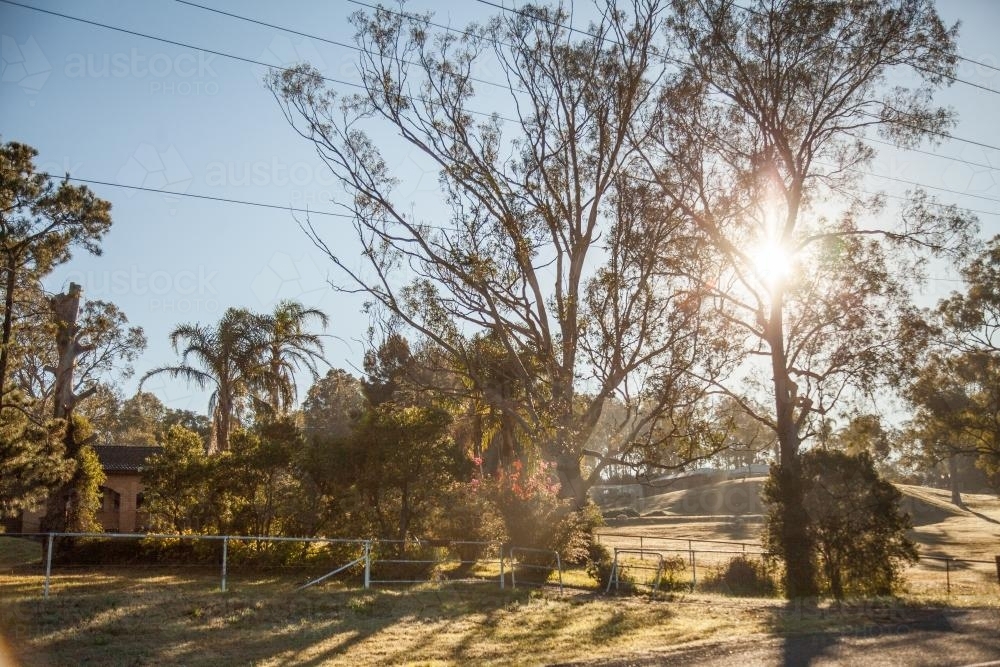 Sunlight coming through a gum tree near a rural house - Australian Stock Image