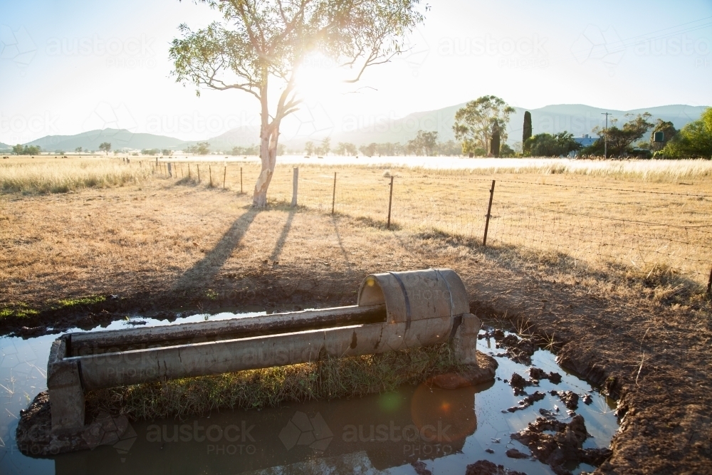 Sunlight flare over concrete water trough on farm in morning - Australian Stock Image
