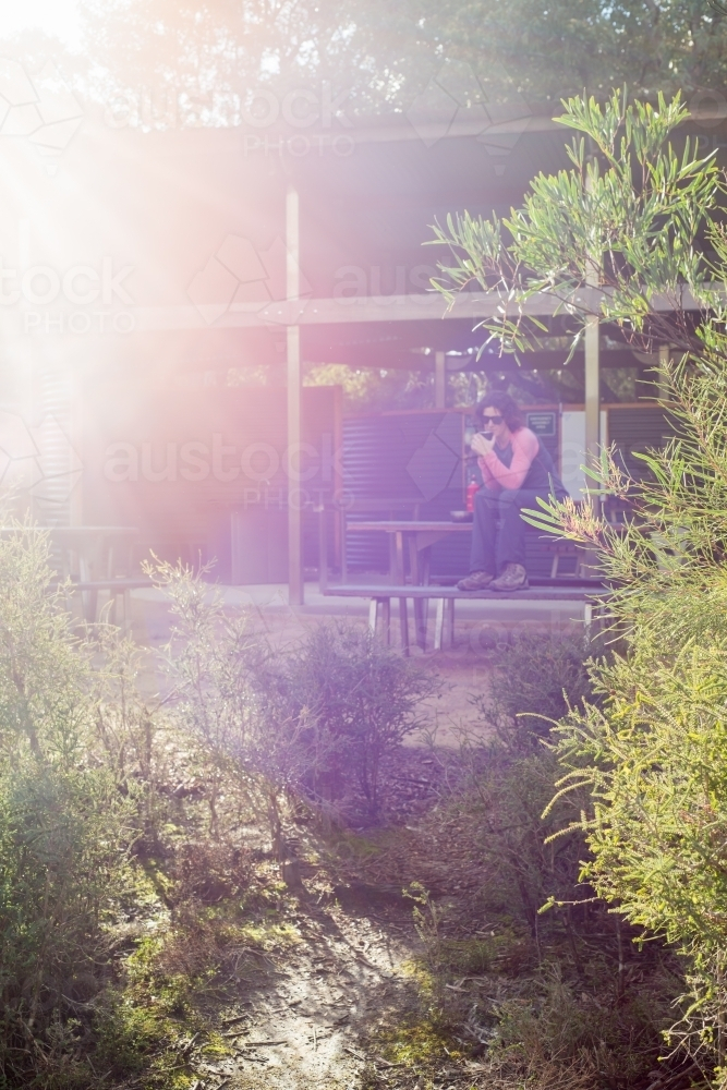 sunlight on bush and Woman hiking drinking tea in background on Kangaroo Island Wilderness Trail - Australian Stock Image