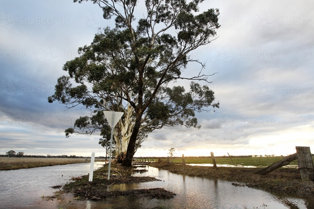 Sunlight on flooded paddocks and road - Australian Stock Image