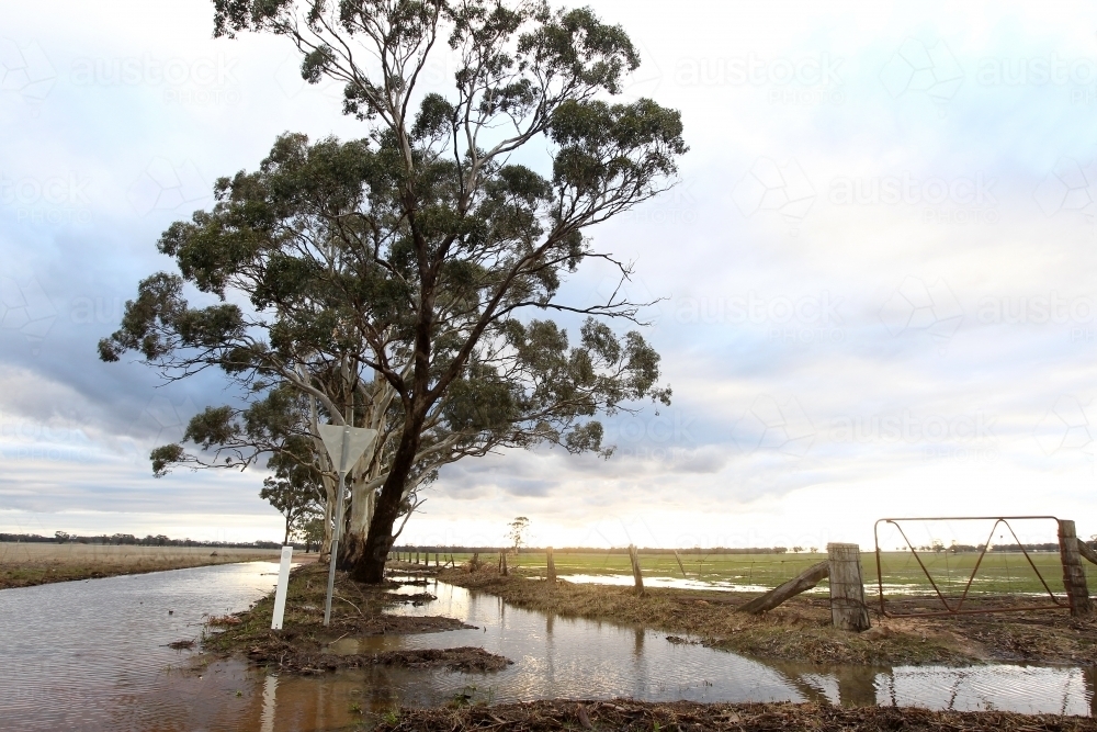 Sunlight on flooded paddocks and road - Australian Stock Image
