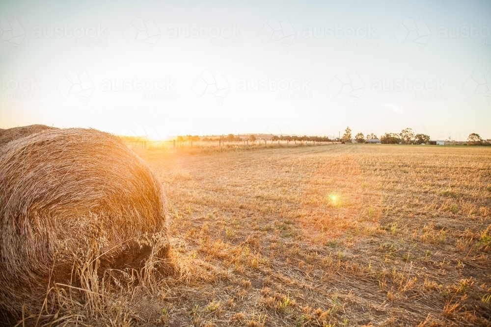 Sunlight shining over round hay bale in country farm paddock - Australian Stock Image