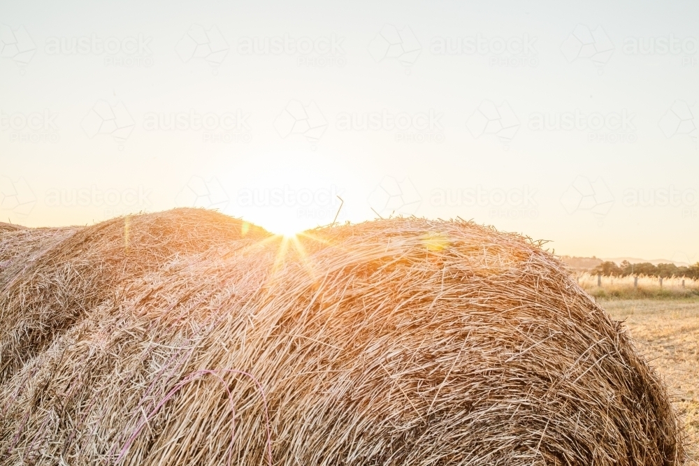 Sunlight shining over round hay bale in country farm paddock - Australian Stock Image