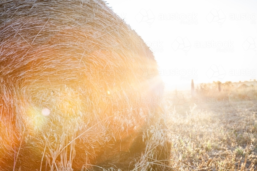 Sunlight shining over round hay bale in country farm paddock - Australian Stock Image