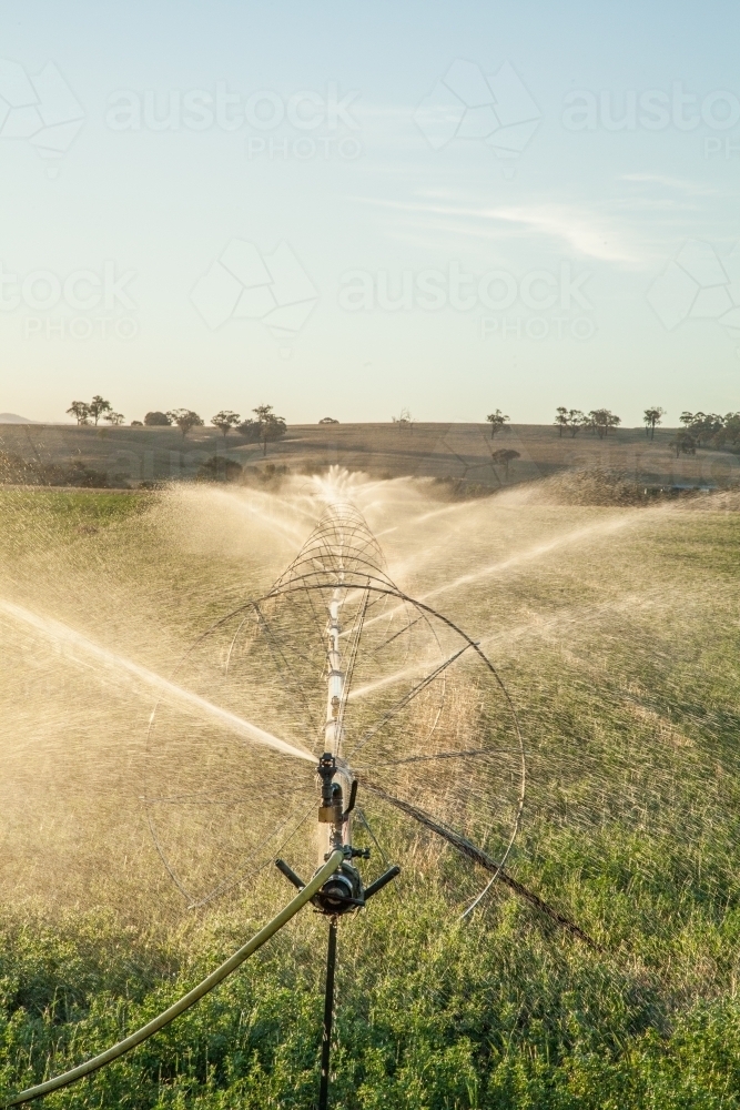 Sunlight shining through spray of water irrigating crops in farm paddock - Australian Stock Image