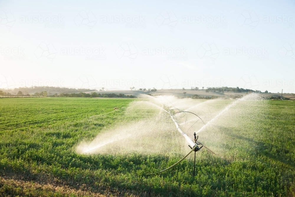 Sunlight shining through spray of water irrigating crops in farm paddock - Australian Stock Image