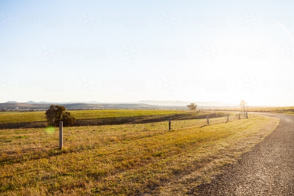 Sunlit country road and rural farm paddocks and fence - Australian Stock Image