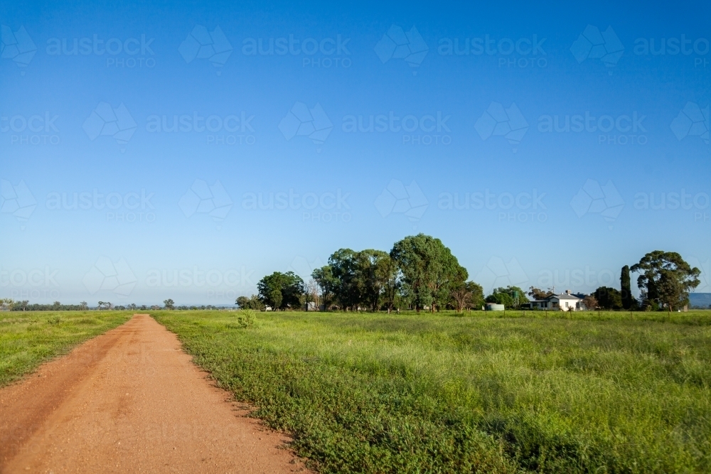Sunlit farm driveway and green paddocks with big blue sky - Australian Stock Image