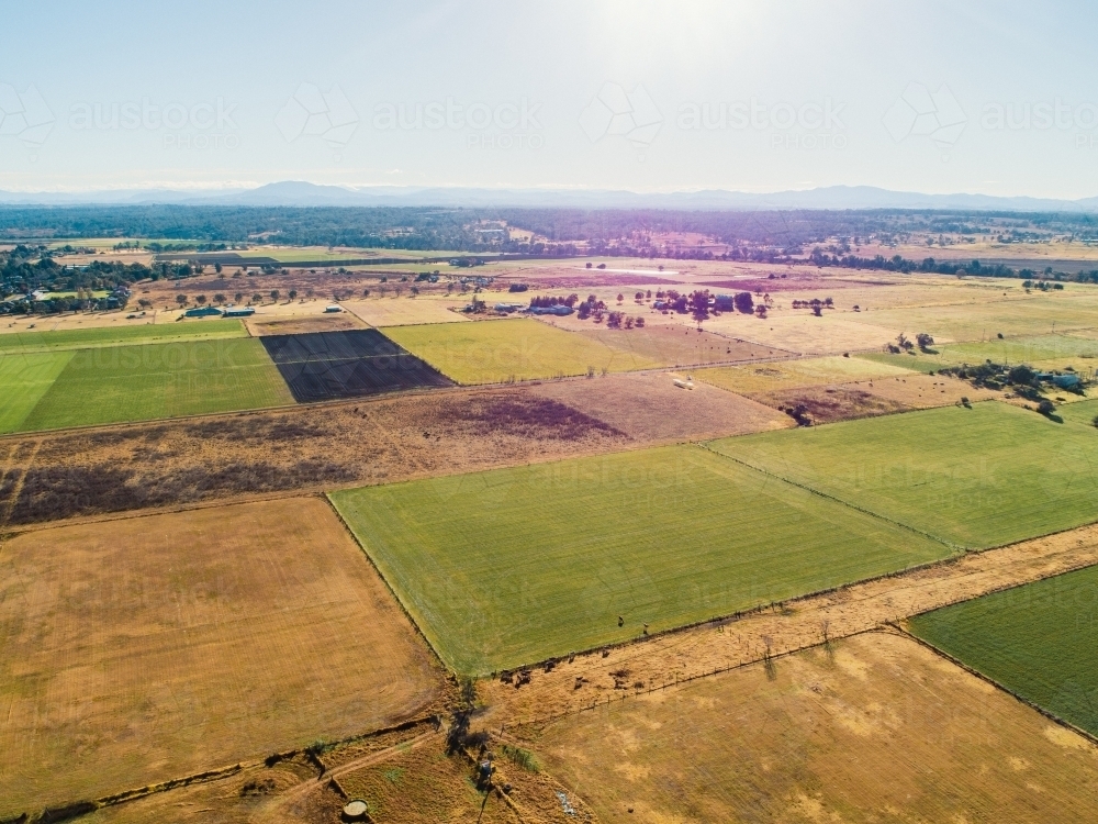 sunlit farmland paddocks in Hunter valley patchwork across the landscape - Australian Stock Image