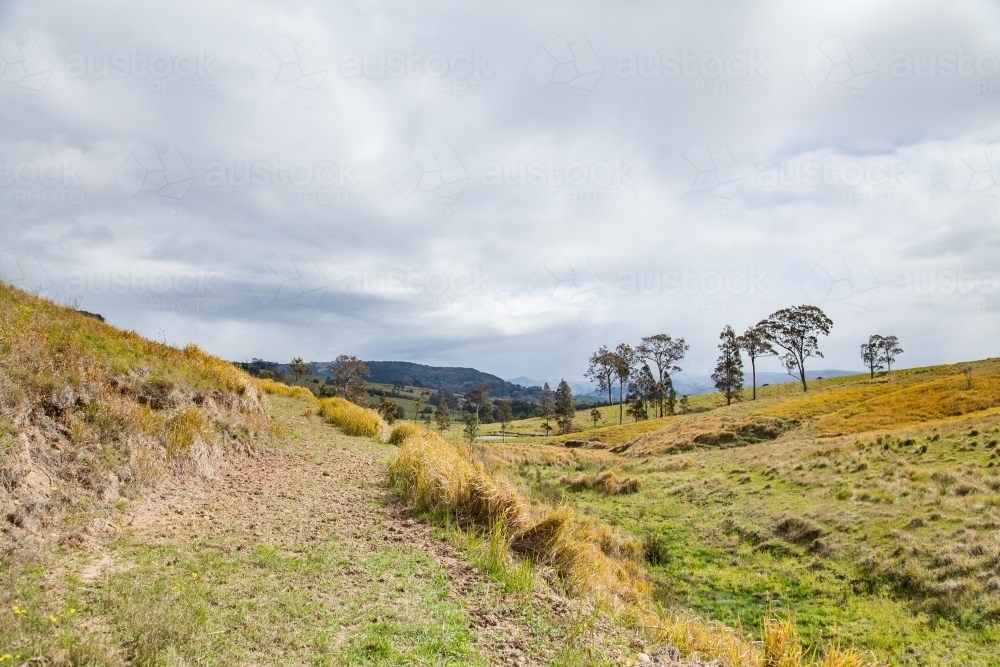 Sunlit paddock on cloudy day - Australian Stock Image