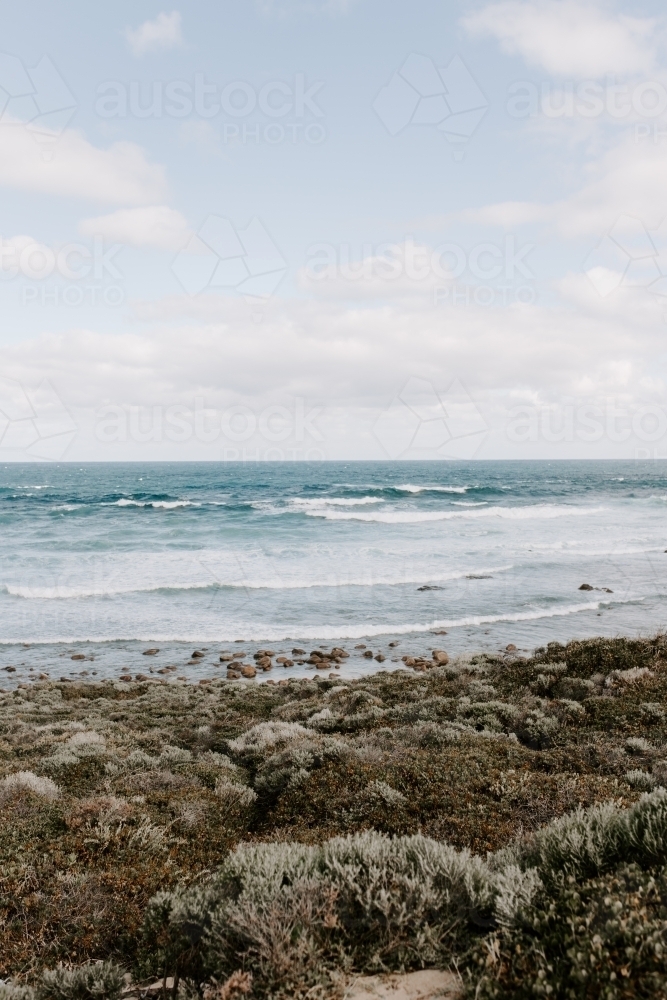 Sunny coast shot - Australian Stock Image
